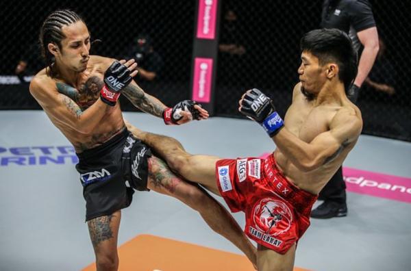 “草原狼”和喜格圖迎來最強敵——終結率91%的散打猛將