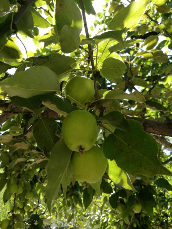 青海湖，祁連山，扎尕那，一車老兩口，西北自駕遊。之六：貴德2