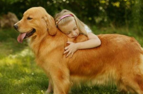 這幾種“老實”的狗，是孩子很好的陪伴