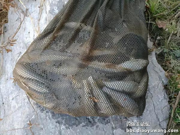 釣魚王餌兩腥配，帶來一次小豐收