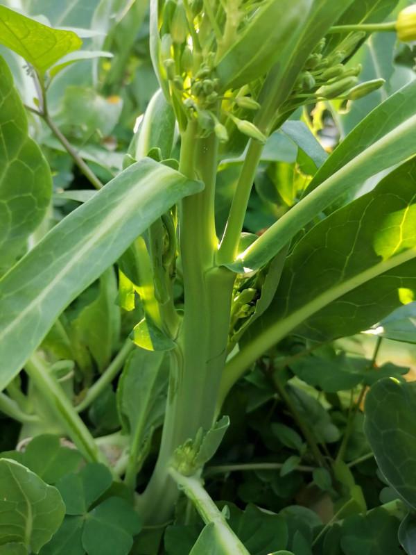 春遊閒逛~ 春遊閒逛~