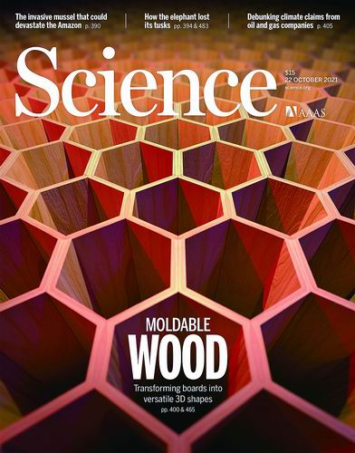 可“塑”之材 可“塑”之材