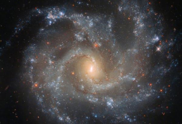 千世銘10月處女座星座運程