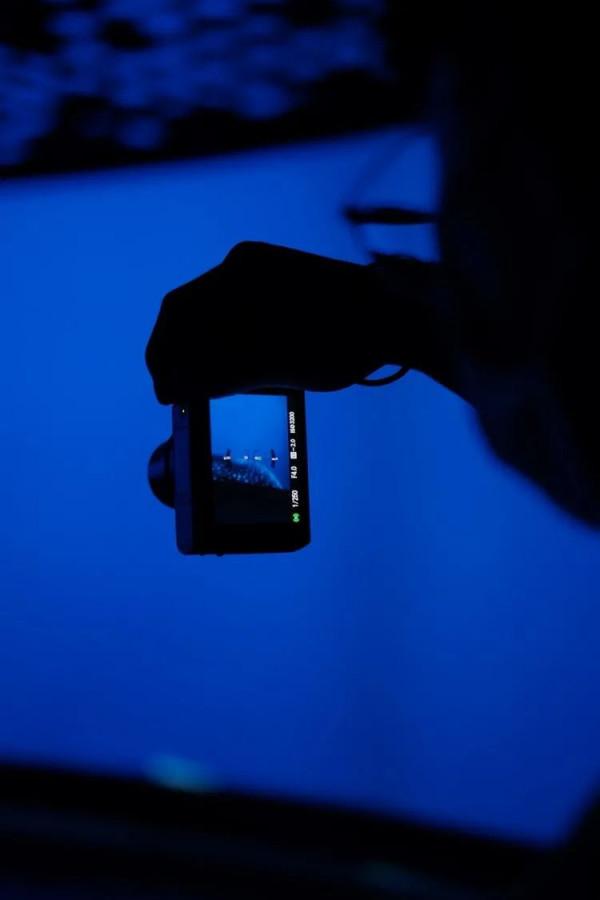 打卡！同濟這個神秘浪漫“基地”火出圈