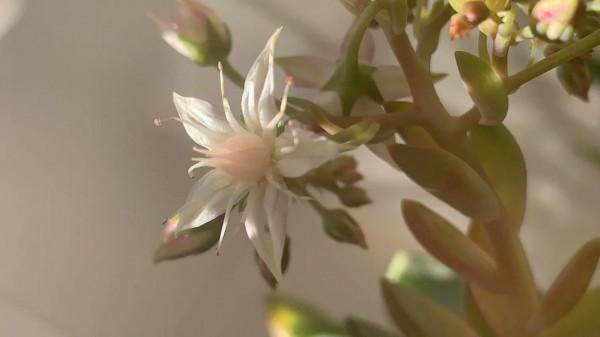 銀子生活日記__2022第一場慢跑 銀子生活日記__2022第一場慢跑