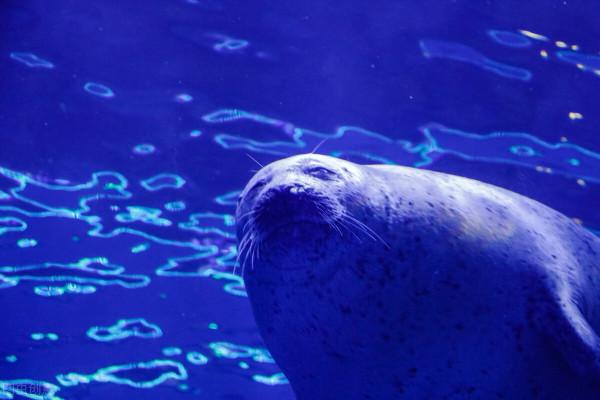 山東冷知識:推薦山東這20個世界之最和中國之最,你還知道哪些? 山東冷知識:推薦山東這20個世界之最和中國之最,你還知道哪些?