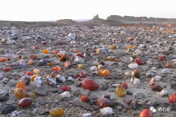 等疫情結束後，我們去撿石頭吧