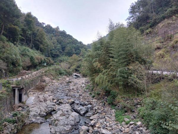 杮子紅了—丹山赤水杮林村 杮子紅了—丹山赤水杮林村