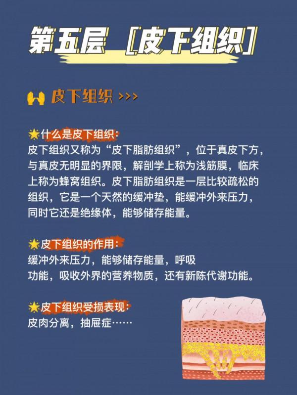 真正瞭解面板結構，更好合理護膚