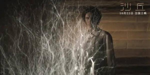 被國產片拋棄後,為何連好萊塢大片也開始被抵制3D? 被國產片拋棄後,為何連好萊塢大片也開始被抵制3D?