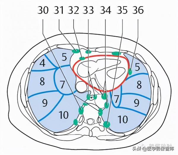 CT斷層解剖圖譜最全總結「推薦收藏」 CT斷層解剖圖譜最全總結「推薦收藏」