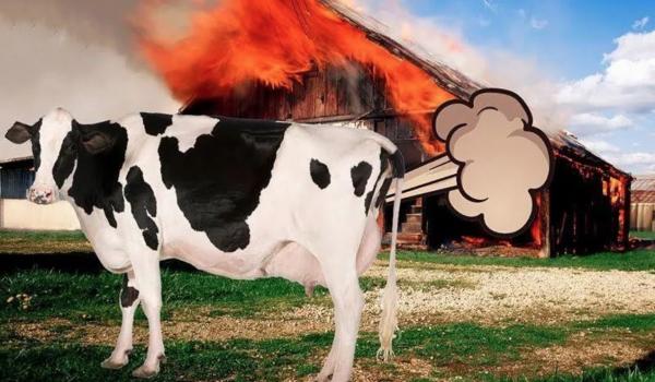 全球極端天氣頻發，聯合國拉響紅色警報！地球升溫2℃會怎樣？