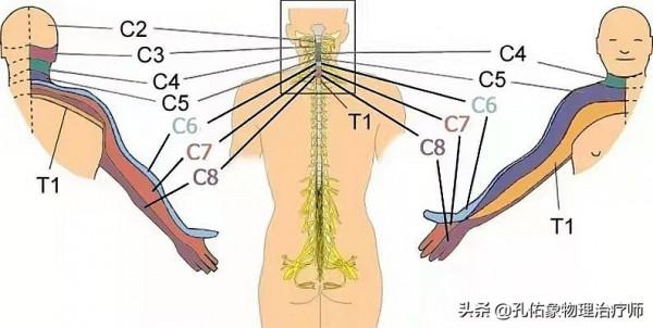 肩膀疼痛是咋回事？為啥不是肩周炎？本文告知您原因