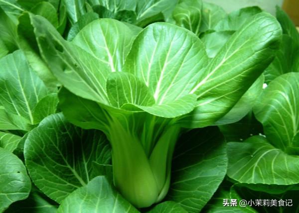 冬天免疫力低,7種食物要多吃,“葉酸”含量高,男女老幼都受益 冬天免疫力低,7種食物要多吃,“葉酸”含量高,男女老幼都受益