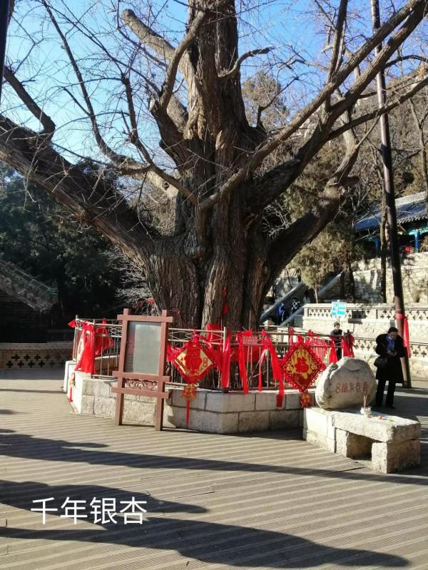 &dollar;&period;006&period;頂遊五峰山