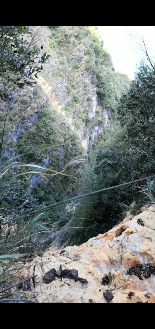 冒著生命去野釣，爬懸崖去到了一個野豬橫行的水庫，漁獲慘淡值得嗎？