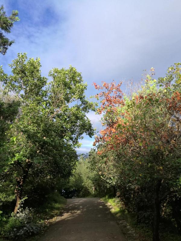 傍晚雨後天晴,登百望山觀景,遊人如織,小山很適合小孩爬 傍晚雨後天晴,登百望山觀景,遊人如織,小山很適合小孩爬