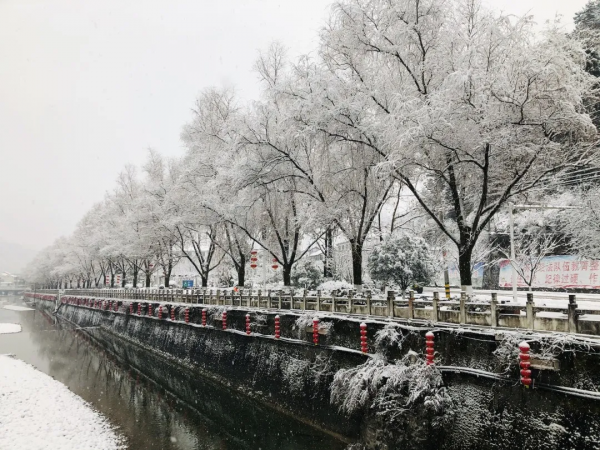 留壩：雪花紛飛迎新春 銀裝素裹靚山城