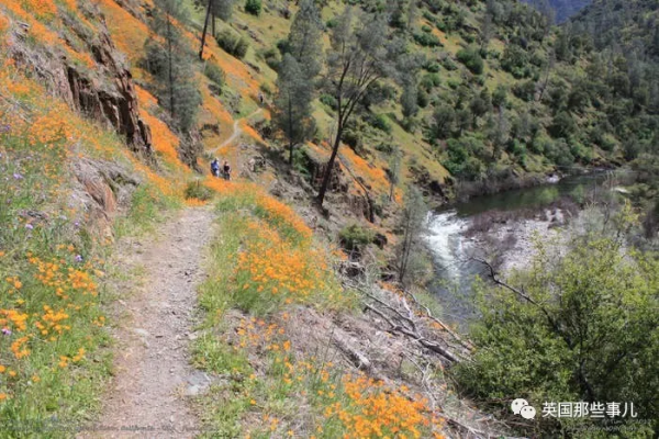 夫妻帶著1歲娃和狗徒步,全部離奇死亡,2個月後警方終於查明真相 夫妻帶著1歲娃和狗徒步,全部離奇死亡,2個月後警方終於查明真相