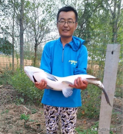 好主線到底長啥樣？不經風雨老天真，很多人其實到現在還沒整明白