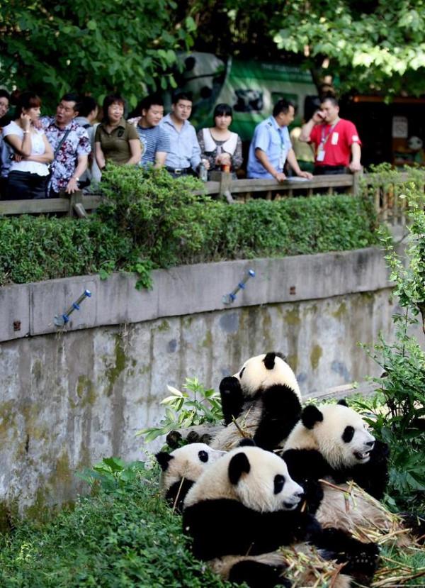 成都12個名勝古蹟景區，大部分遊客只去過都江堰跟青城山