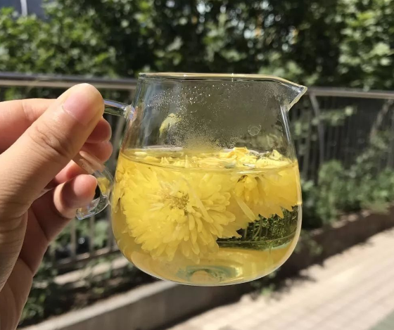 能“泡茶”的三種花，花開之後，摘點葉子就能喝！很實用