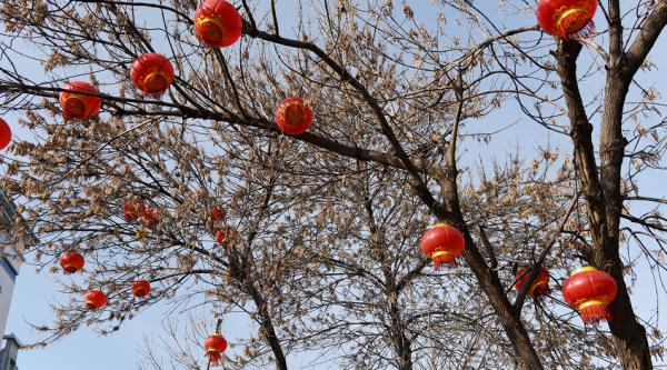 2022，邀您在宣化過年！