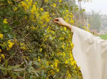 再現包租地大戶“退租”潮!除了不掙錢,還有這些原因存在 再現包租地大戶“退租”潮!除了不掙錢,還有這些原因存在