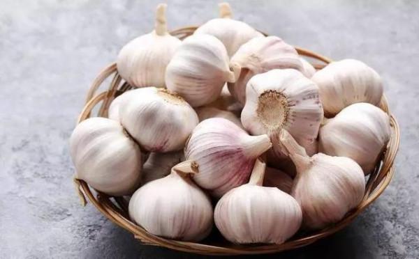 吃大蒜,到底是養生,還是“傷身”?聽聽醫生的回答 吃大蒜,到底是養生,還是“傷身”?聽聽醫生的回答