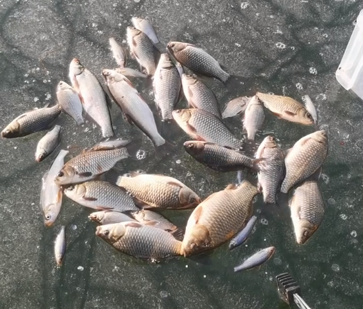 冰釣裝備最大坑！不是竿，不是線，不是輪，你能想到竟是箱子麼？