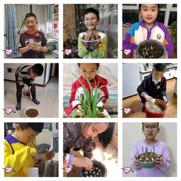 停課不停學“雙減”歡樂多植物種植小樂園（第一期）奇妙的種子