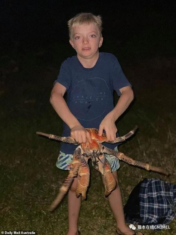 正在打高爾夫的澳洲大爺發現巨蟹正在順走自己的球杆