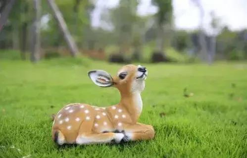 分享圖片 梅花鹿 可愛呆萌 堅強勇敢