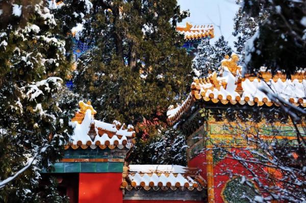 昌平龍山看雪(原創) 昌平龍山看雪(原創)