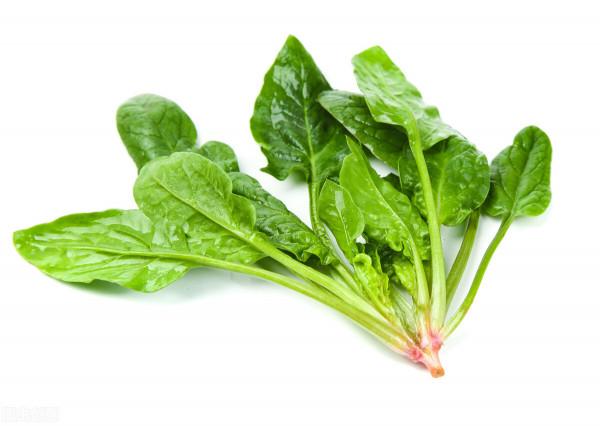 盤點5種冬天不怕凍的蔬菜，越到冬天越好賣