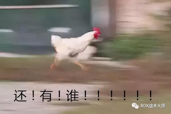 萬國覺醒丨圖拉真實測