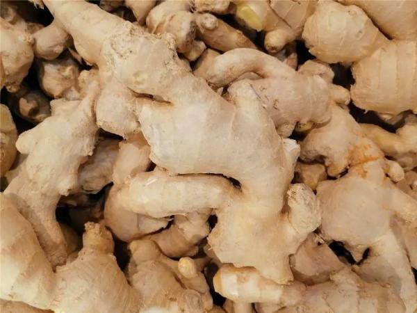 服用中成藥，千萬別“冷落”了藥引