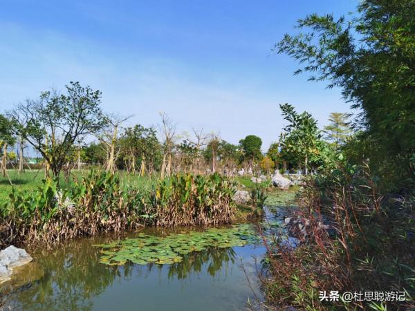 漢EV自駕廣西，園博園入口帶孩子玩遊樂園，我獨自一人逛景區