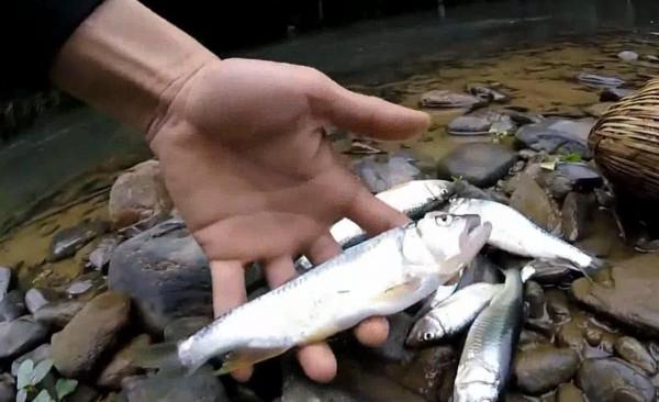 擬餌太輕拋不遠,用這三個方法連線助投器,微型餌也能做遠投 擬餌太輕拋不遠,用這三個方法連線助投器,微型餌也能做遠投