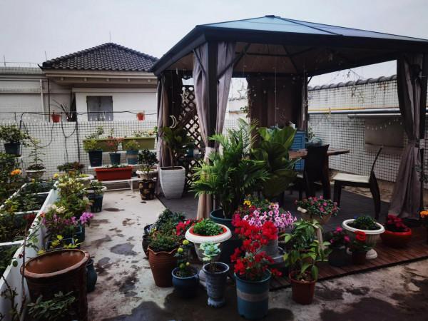 打造這樣的花園需要多少錢？