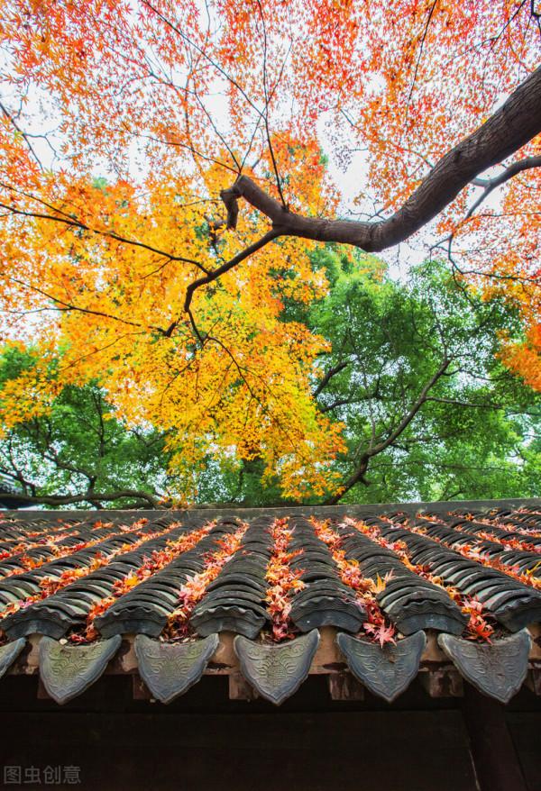 穿越千年,當秋日美景遇上古詩詞,許你一個詩意的山河 穿越千年,當秋日美景遇上古詩詞,許你一個詩意的山河