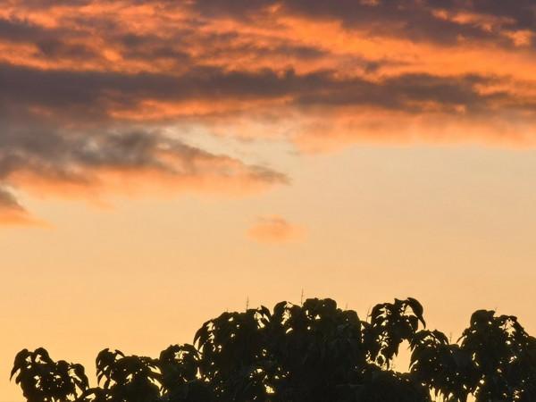 意不意外? 華為P50 Pro首測2: 網友要求再拍10組對比, 逼出它影像極限