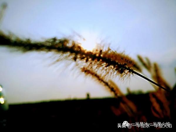 中秋：陰晴圓缺都休說，且喜人間好時節