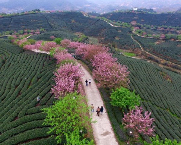 重新認識印度:南方4省(閩浙贛粵)與印度南方對比 重新認識印度:南方4省(閩浙贛粵)與印度南方對比