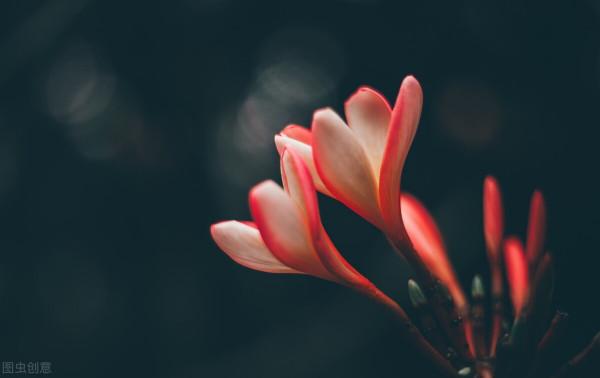 什麼時候是真正的心寒？