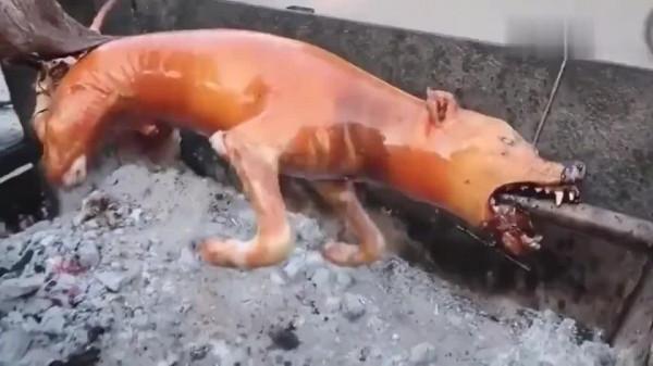 商朝時期,人們常吃什麼?原來其中有狗肉 商朝時期,人們常吃什麼?原來其中有狗肉