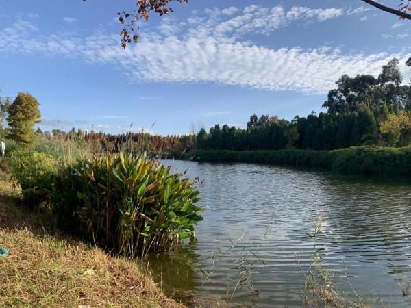 欣賞藍天白雲下的景色 欣賞藍天白雲下的景色