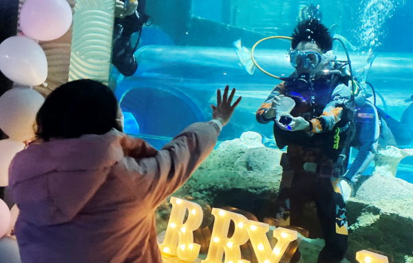 新澳海底世界水下浪漫求婚