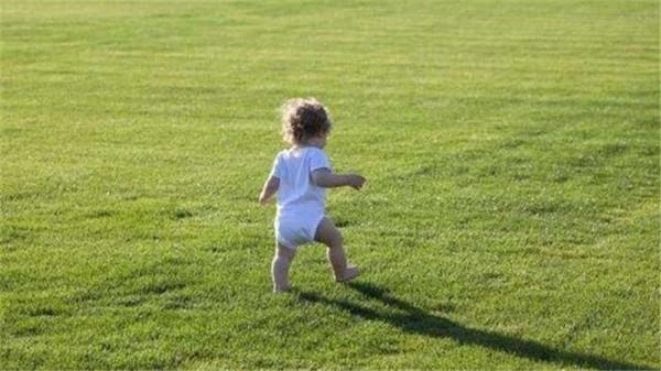 劉靜：我是《父母愛情》作者，郭濤不是我心中最佳&OpenCurlyQuote;江德福&rsquo;形象