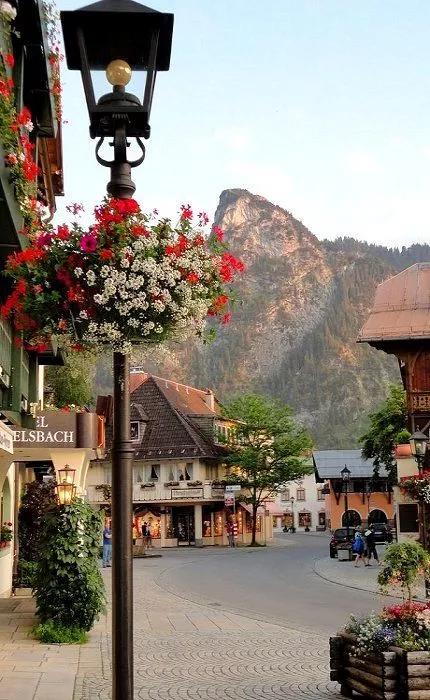 世界是一個大花園 世界是一個大花園